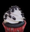CupCakes2
